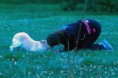 /album/fotogalerie/a1236264-202342563267852-589677408-n-jpg/
