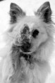 /album/fotogalerie/a85568-jpg/