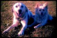 /album/fotogalerie/a1958119-265335186968589-89906039-n-jpg/